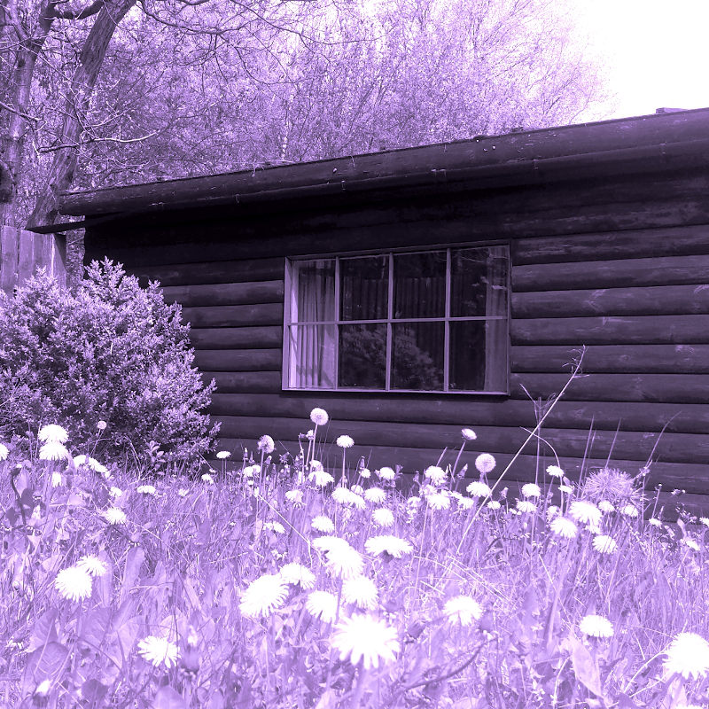 Counselling in South Wales in a timber cabin